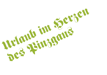 Urlaub im Herzen  des Pinzgaus